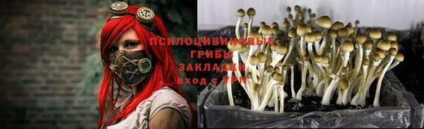 mix Абаза