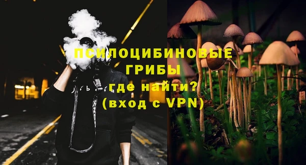 mix Абаза