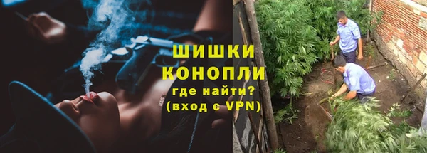 стаф Медногорск