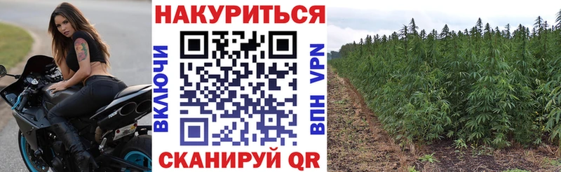 Конопля White Widow  Полтавская 